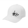 C865HB HB Flexfit Cap